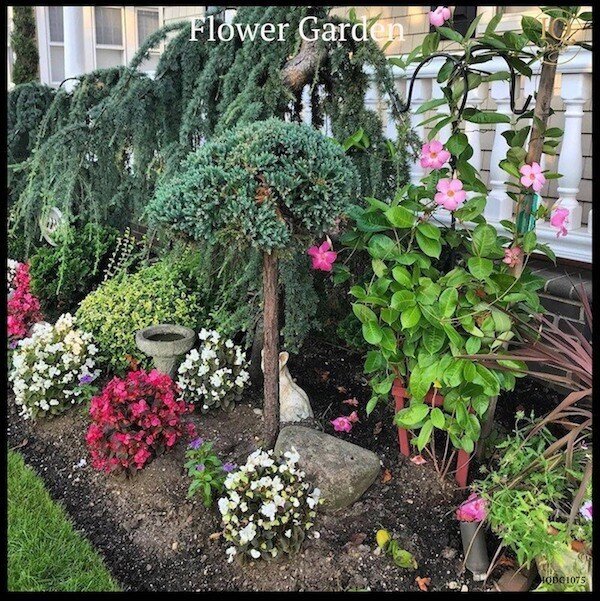 How To Create A Beautiful Outdoor Flower Garden During Quarantine