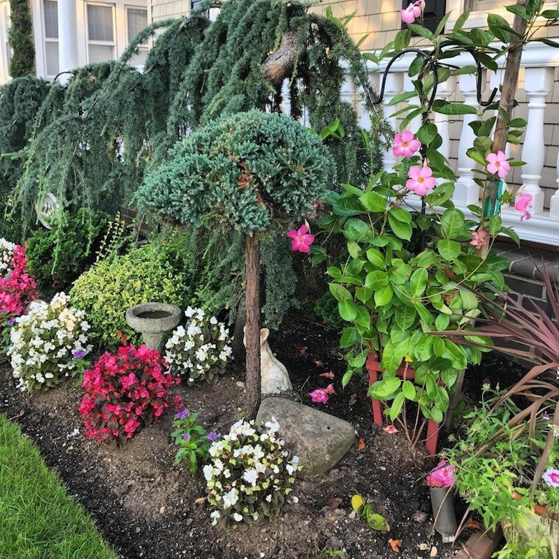 willow-house-front-flower-garden-with-rocks