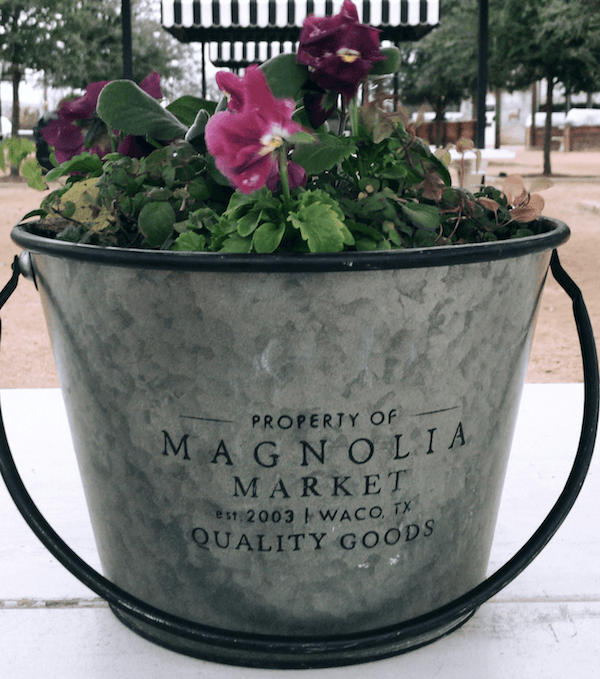 Magnolia Market Experience in Waco, TX