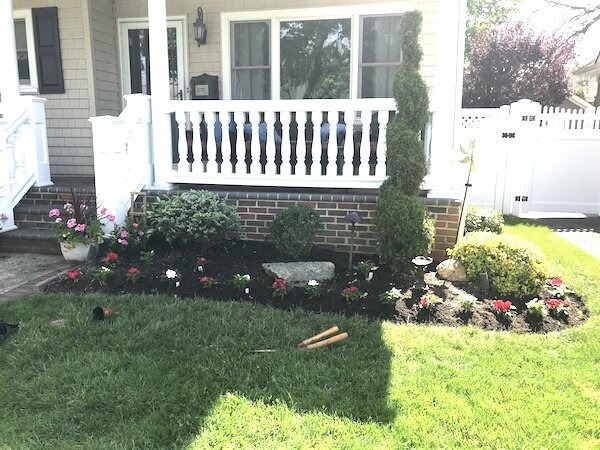 red-and-white-new-guinea-impatiens